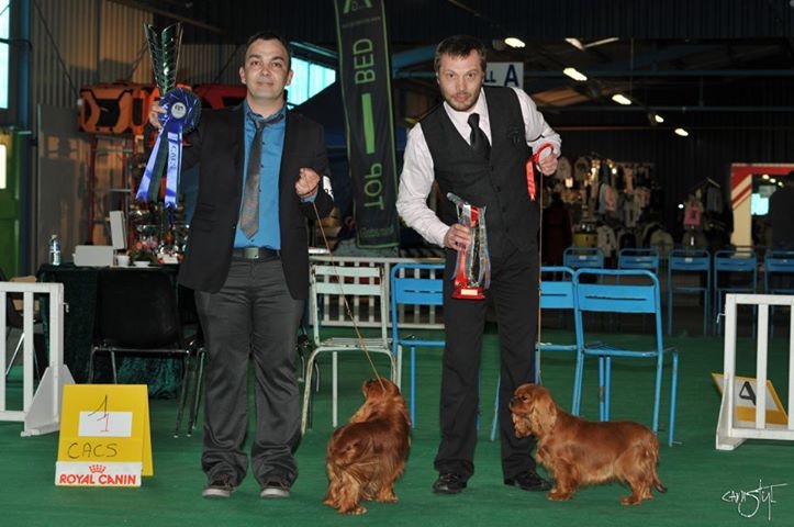 nationale 2013